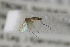  ( - NHMO-DAR-12344)  @12 [ ] CreativeCommons - Attribution Non-Commercial Share-Alike (2017) Unspecified University of Oslo, Natural History Museum