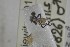  ( - NHMO-ENT-265291)  @11 [ ] CreativeCommons - Attribution Non-Commercial Share-Alike (2019) Unspecified University of Oslo, Natural History Museum