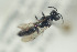  ( - HYMNI1292)  @12 [ ] CreativeCommons - Attribution Non-Commercial Share-Alike (2016) Arnstein Staverlokk Norwegian Institute of Nature Research