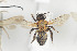  ( - HYMNI772)  @11 [ ] CreativeCommons - Attribution Non-Commercial Share-Alike (2014) Arnstein Staverlokk Norwegian Institute of Nature Research