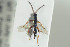  ( - HYMNI1350)  @11 [ ] CreativeCommons - Attribution Non-Commercial Share-Alike (2016) Arnstein Staverlokk Norwegian Institute of Nature Research