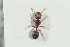  ( - HYMNI1223)  @12 [ ] CreativeCommons - Attribution Non-Commercial Share-Alike (2016) Arnstein Staverlokk Norwegian Institute of Nature Research