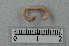  ( - CE15124)  @11 [ ] CreativeCommons - Attribution Non-Commercial Share-Alike (2018) Christer Erseus University of Gothenburg