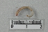  ( - CE15703)  @11 [ ] CreativeCommons - Attribution Non-Commercial Share-Alike (2018) Christer Erseus University of Gothenburg