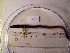  ( - NHMO-LUM00025)  @13 [ ] Copyright  NHMO Unspecified