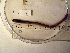  ( - NHMO-LUM00026)  @13 [ ] Copyright  NHMO Unspecified