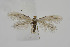  ( - BC_LSNOE_Lep_03717)  @11 [ ] CreativeCommons - Attribution Non-Commercial Share-Alike (2022) Wolfgang Stark Landessammlungen Niederösterreich
