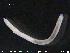  ( - CE20322)  @12 [ ] CreativeCommons - Attribution Non-Commercial Share-Alike (2015) NTNU University Museum, Department of Natural History NTNU University Museum, Department of Natural History