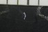  ( - CE23457)  @11 [ ] CreativeCommons - Attribution Share-Alike (2017) Christer Erséus University of Gothenburg