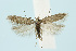  ( - BC_LSNOE_Lep_00624)  @15 [ ] CreativeCommons - Attribution Non-Commercial Share-Alike (2017) Wolfgang Stark Landessammlungen Niederösterreich