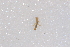  ( - NHMO-EPT_89)  @12 [ ] Unspecified (default): All Rights Reserved  Unspecified Unspecified