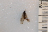  ( - NHMO-EPT_829)  @12 [ ] Unspecified (default): All Rights Reserved  Unspecified Unspecified