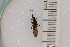 ( - NHMO-EPT_1250)  @11 [ ] Unspecified (default): All Rights Reserved  Unspecified Unspecified