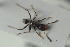  ( - NOPAR106)  @11 [ ] CreativeCommons - Attribution Non-Commercial Share-Alike (2015) Arnstein Staverlokk Norwegian Institute of Nature Research