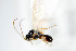  ( - NOFIG163)  @13 [ ] CreativeCommons - Attribution Non-Commercial Share-Alike (2014) Arnstein Staverlokk Norwegian Institute of Nature Research