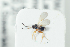  ( - NOFIG1312)  @12 [ ] CreativeCommons - Attribution Non-Commercial Share-Alike (2017) Arnstein Staverlokk Norwegian Institute of Nature Research