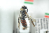  ( - BUAPI18)  @12 [ ] CreativeCommons - Attribution Non-Commercial Share-Alike (2016) Arnstein Staverlokk Norwegian Institute of Nature Research