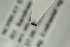  (Kleidotoma longipennis - NOFIG854)  @11 [ ] CreativeCommons - Attribution Non-Commercial Share-Alike (2016) Arnstein Staverlokk Norwegian Institute of Nature Research