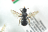 ( - BUAPI34)  @13 [ ] CreativeCommons - Attribution Non-Commercial Share-Alike (2016) Arnstein Staverlokk Norwegian Institute of Nature Research