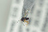  ( - NOFIG684)  @11 [ ] CreativeCommons - Attribution Non-Commercial Share-Alike (2016) Arnstein Staverlokk Norwegian Institute of Nature Research