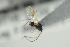  ( - NOFIG690)  @11 [ ] CreativeCommons - Attribution Non-Commercial Share-Alike (2016) Arnstein Staverlokk Norwegian Institute of Nature Research