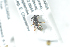  ( - BUAPI80)  @12 [ ] CreativeCommons - Attribution Non-Commercial Share-Alike (2016) Arnstein Staverlokk Norwegian Institute of Nature Research