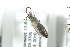  ( - BUAPI85)  @12 [ ] CreativeCommons - Attribution Non-Commercial Share-Alike (2016) Arnstein Staverlokk Norwegian Institute of Nature Research