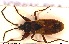  ( - NOHET399)  @11 [ ] Creative Commons  Attribution Non-Commercial Share-Alike (2025) NTNU University Museum, Department of Natural History NTNU University Museum, Department of Natural History