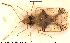  ( - NOHET537)  @11 [ ] Creative Commons  Attribution Non-Commercial Share-Alike (2025) NTNU University Museum, Department of Natural History NTNU University Museum, Department of Natural History