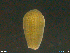  ( - CE35444)  @11 [ ] CreativeCommons - Attribution Non-Commercial Share-Alike (2018) Christer Erseus University of Gothenburg
