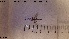  ( - HYM092)  @11 [ ] CreativeCommons - Attribution Share-Alike (2019) NTNU University Museum, Department of Natural History NTNU University Museum, Department of Natural History