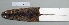  ( - NOMAM-060)  @13 [ ] Unspecified (default): All Rights Reserved  Unspecified Unspecified