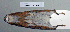  ( - NOMAM-060)  @13 [ ] Unspecified (default): All Rights Reserved  Unspecified Unspecified