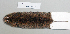  ( - NOMAM-052)  @14 [ ] Unspecified (default): All Rights Reserved  Unspecified Unspecified