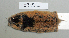  ( - NOMAM-039)  @11 [ ] Unspecified (default): All Rights Reserved  Unspecified Unspecified
