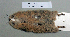  ( - NOMAM-040)  @11 [ ] Unspecified (default): All Rights Reserved  Unspecified Unspecified