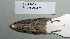  ( - NOMAM-070)  @13 [ ] Unspecified (default): All Rights Reserved  Unspecified Unspecified