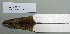  ( - NOMAM-071)  @11 [ ] Unspecified (default): All Rights Reserved  Unspecified Unspecified