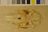  ( - NHMO-DMA-193)  @11 [ ] CreativeCommons - Attribution Non-Commercial Share-Alike (2017) Unspecified University of Oslo, Natural History Museum