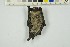  ( - NHMO-DMA-882)  @11 [ ] CreativeCommons - Attribution Non-Commercial Share-Alike (2018) Unspecified University of Oslo, Natural History Museum