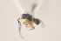  ( - NOCER-139)  @11 [ ] CC-NC-SA (2021) Arnstein Staverlokk Norwegian Institute of Nature Research