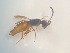  ( - NOCER-486)  @11 [ ] CC-NC-SA (2022) Arnstein Staverlokk Norwegian Institute of Nature Research