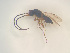  ( - NOCER-491)  @11 [ ] CC-NC-SA (2022) Arnstein Staverlokk Norwegian Institute of Nature Research