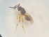  ( - NOCER-497)  @11 [ ] CC-NC-SA (2022) Arnstein Staverlokk Norwegian Institute of Nature Research