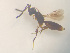  ( - NOCER-512)  @11 [ ] CC-NC-SA (2022) Arnstein Staverlokk Norwegian Institute of Nature Research