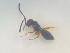  ( - NOCER-519)  @11 [ ] CC-NC-SA (2022) Arnstein Staverlokk Norwegian Institute of Nature Research