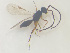  ( - NOCER-522)  @11 [ ] CC-NC-SA (2022) Arnstein Staverlokk Norwegian Institute of Nature Research