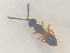  ( - NOCER-540)  @11 [ ] CC-NC-SA (2022) Arnstein Staverlokk Norwegian Institute of Nature Research