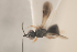  ( - NOCER-150)  @11 [ ] CC-NC-SA (2021) Arnstein Staverlokk Norwegian Institute of Nature Research