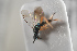  ( - NOCER-572)  @11 [ ] CC-NC-SA (2022) Arnstein Staverlokk Norwegian Institute of Nature Research